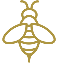 2 ICON ABEJA_1